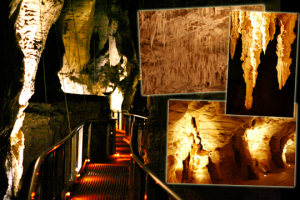 Waitomo and Ruanuki Cave