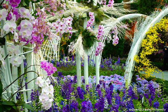 Orchid Extravaganza Gardens by the Bay