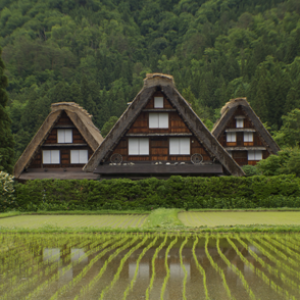 Shirakawago