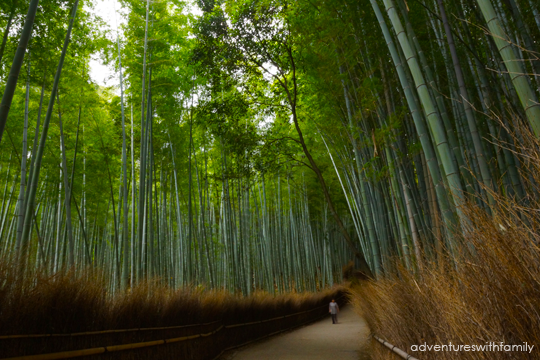 Arashiyama