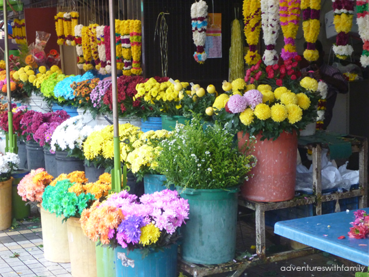 flowers