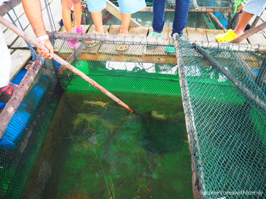 Fresh Seafood in Batam