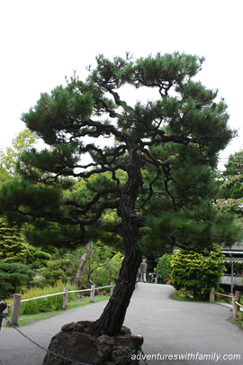 Japanese Garden, San Francisco Japanese Garden, San Francisco