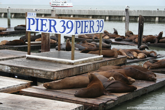 San Francisco Pier 39 Pier 39