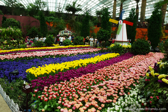 Tulipmania Gardens by the Bay Tulipmania Gardens by the Bay