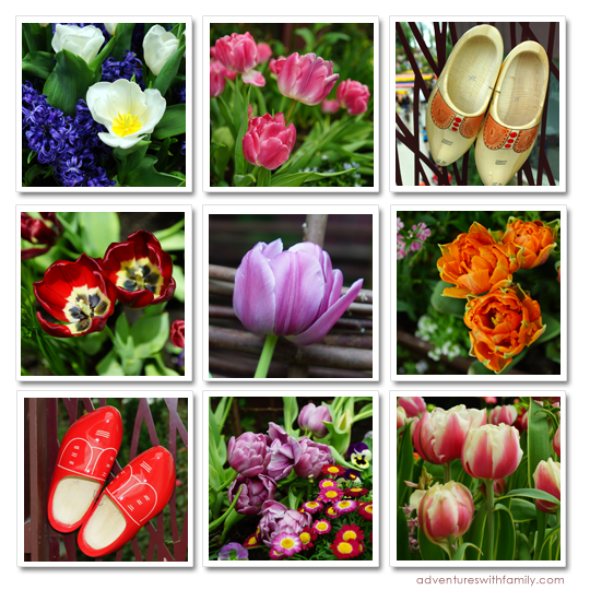 Tulipmania Gardens by the Bay Tulipmania Gardens by the Bay