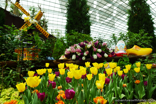 Tulipmania Gardens by the Bay Tulipmania Gardens by the Bay