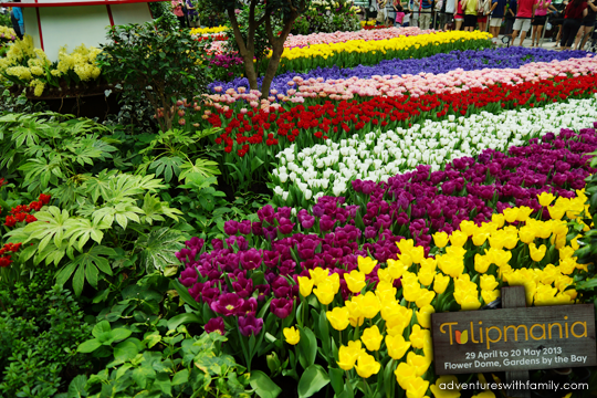 Tulipmania Gardens by the Bay Tulipmania Gardens by the Bay