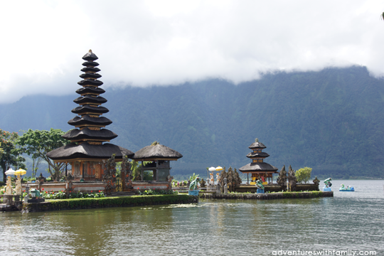Bali Temples and Padi Fields