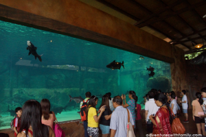 River Safari Singapore