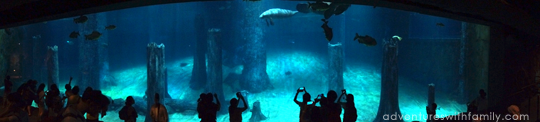 River Safari Big Aquarium