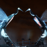 RWS-Crane-Dance