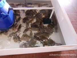 Batam Seafood Batam Seafood