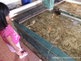 Batam Seafood Batam Seafood