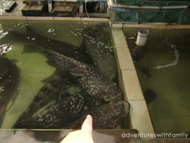 Batam Seafood Batam Seafood