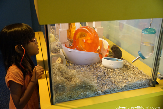 KidsSTOP Singapore