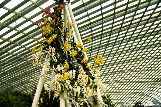 Orchid Extravaganza Gardens by the Bay