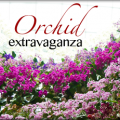 Gardens by the Bay - Orchid Extravaganza