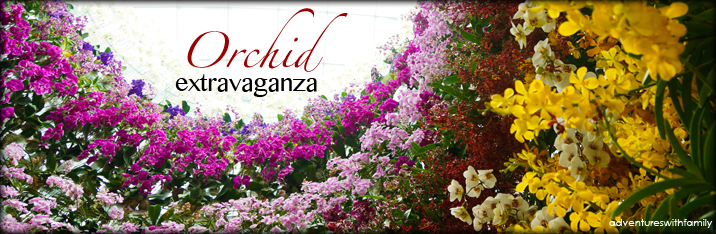 Gardens by the Bay – Orchid Extravaganza