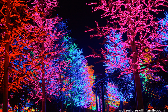 City of Digital Lights