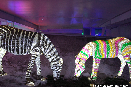 i-City SnowWalk