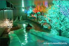 i-City Snowalk
