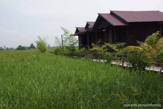 Dorani Kampung