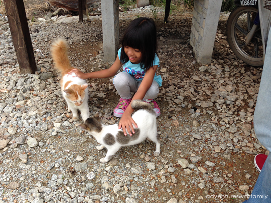 Malaysia Homestay