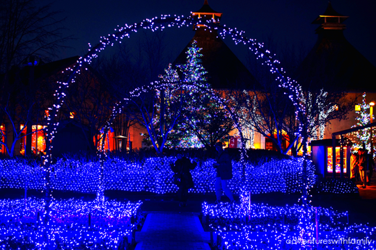 Japan Winter Illumination