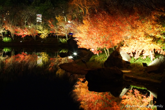 Japan Winter Illumination