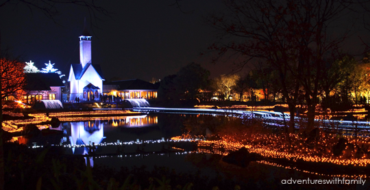 Japan Winter Illumination
