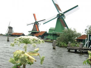 Dutch windmills Zaans Schanse