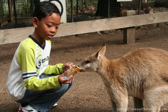 Featherdale Wildlife Park Sydney