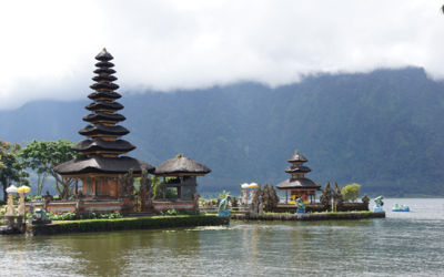 Bali Temples and Padi Fields