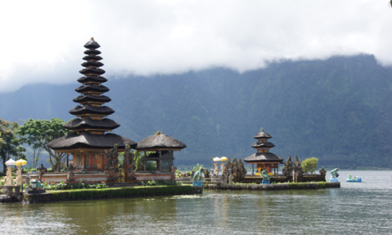 Bali Temples and Padi Fields