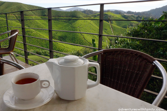 Boh Tea Sungai Palas Cameron Highlands