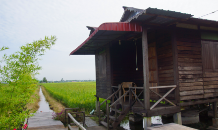Kampung Dorani Malaysian Homestay