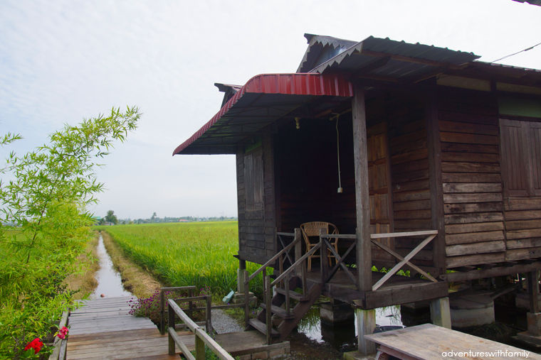 Kampung Dorani Malaysian Homestay