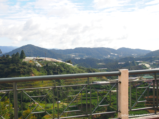 Cameron Highlands