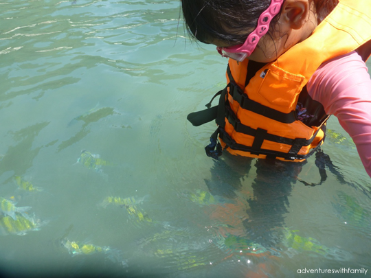 Snorkelling Trip in Krabi