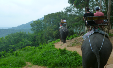 Siam Safari and Elephant Trekking in Phuket