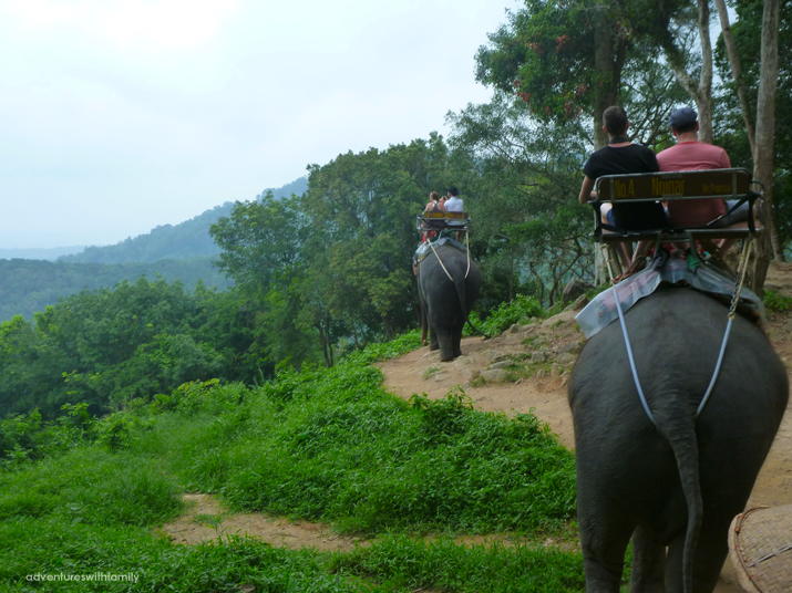 Siam Safari and Elephant Trekking in Phuket