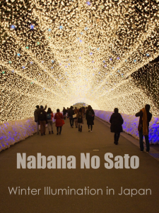 Japan Winter Illumination