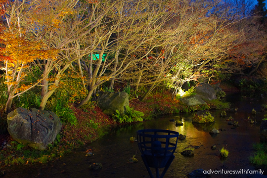 Japan Winter Illumination