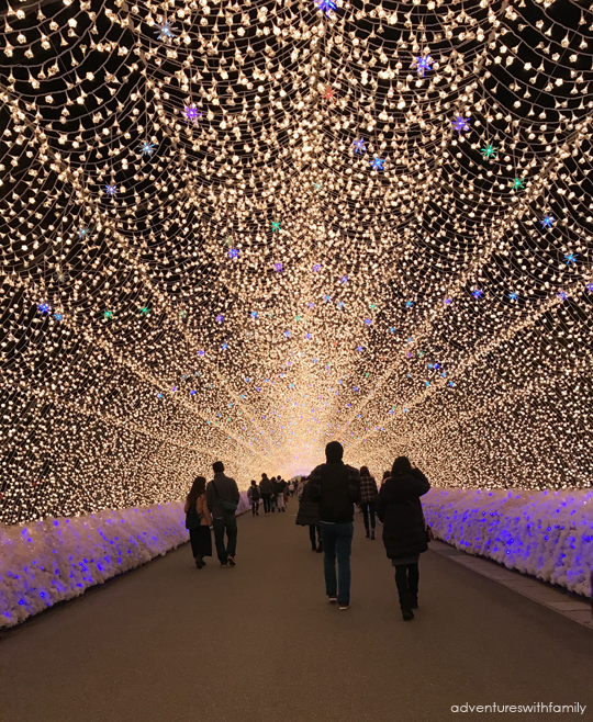 Japan Winter Illumination