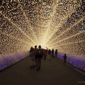 Japan Winter Illumination