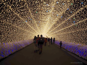 Japan Winter Illumination