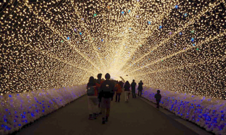 Nabana No Sato Winter Illumination in Japan
