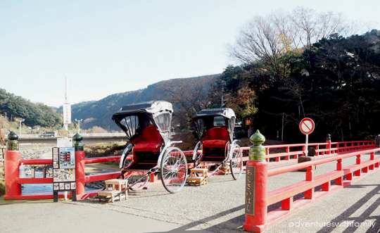 Hakone in Winter