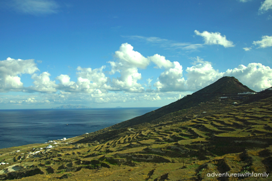 Santorini Plantations